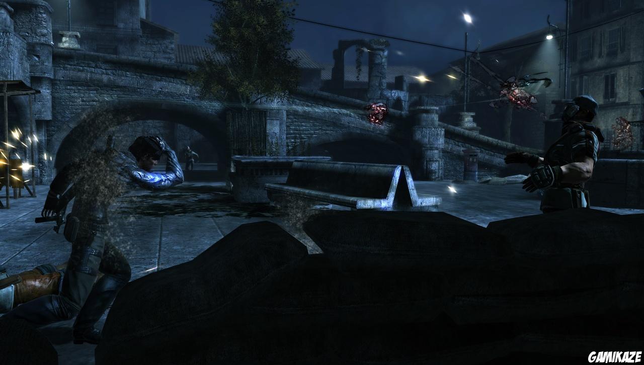Dark Sector