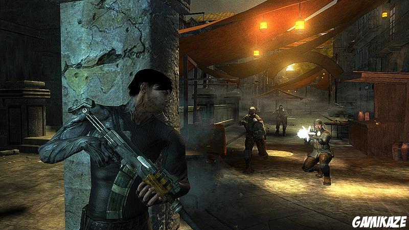 Dark Sector