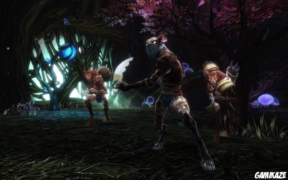 Les Royaumes d'Amalur : Reckoning