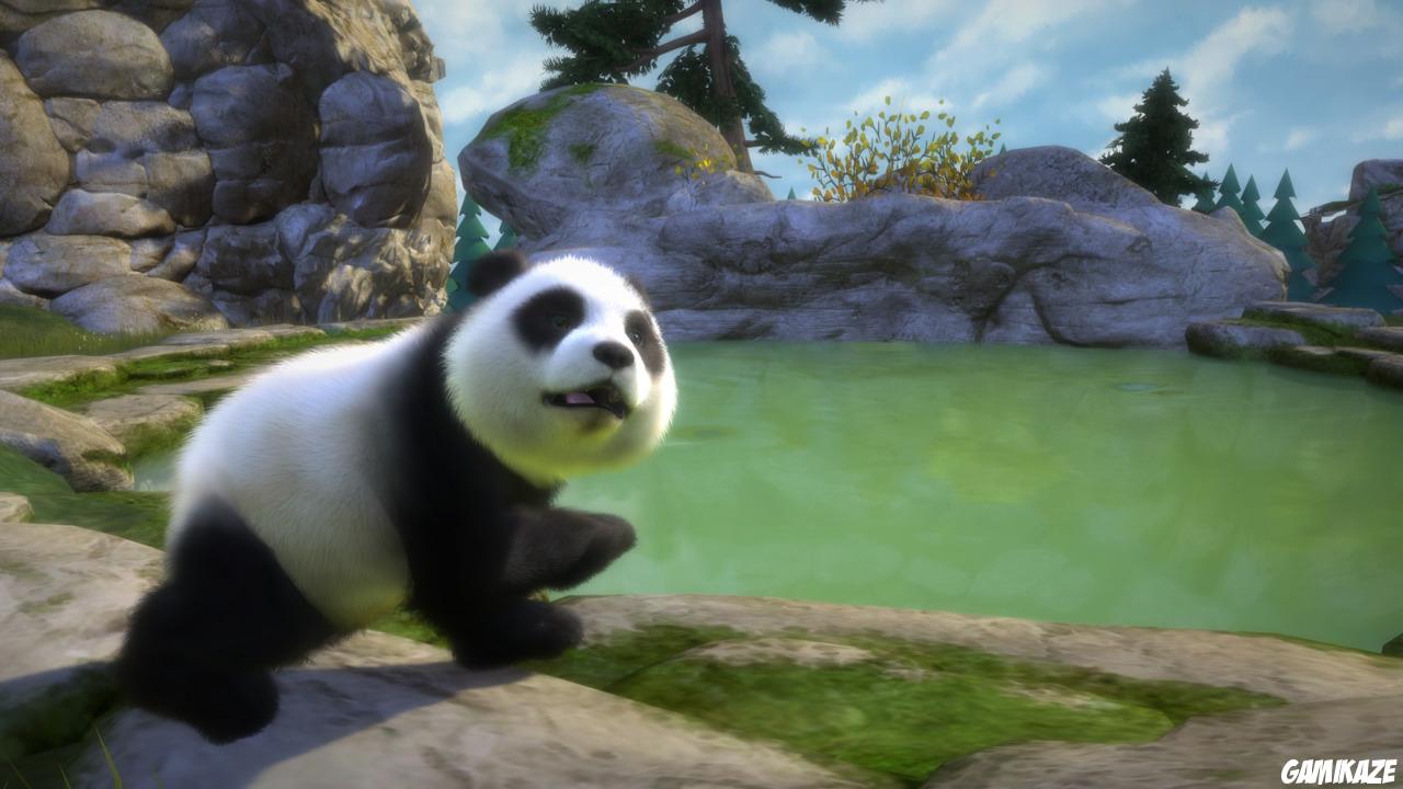 Kinectimals : Joue avec des Ours !