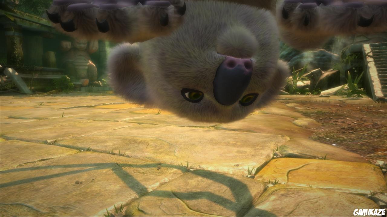 Kinectimals : Joue avec des Ours !