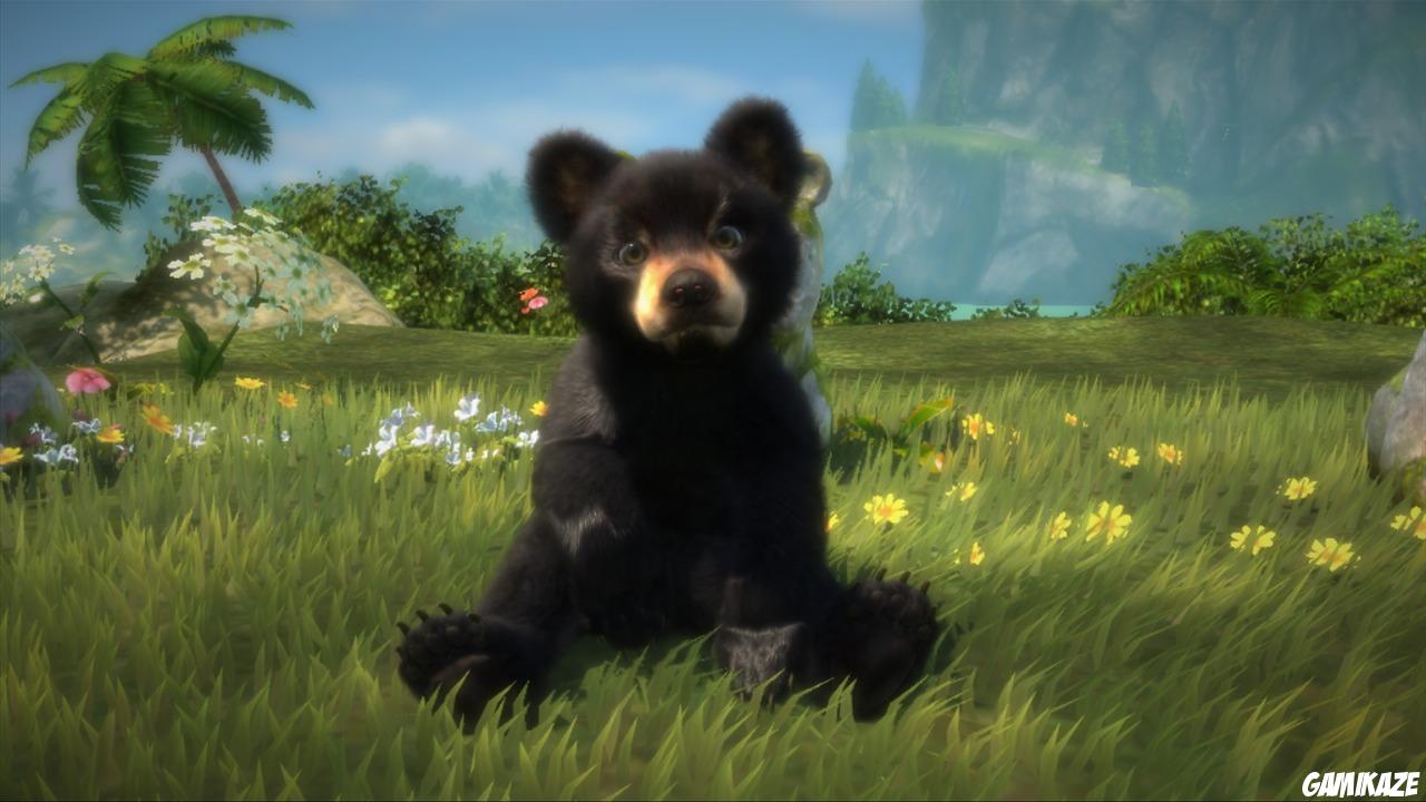Kinectimals : Joue avec des Ours !
