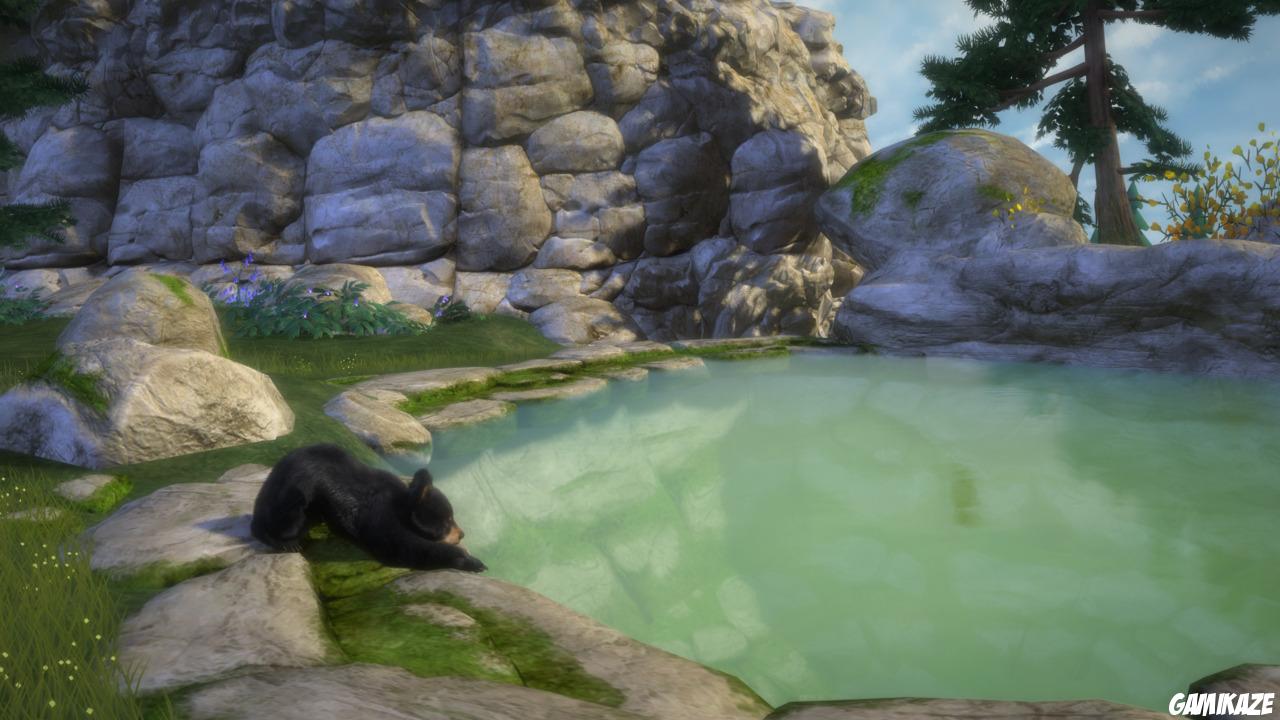 Kinectimals : Joue avec des Ours !