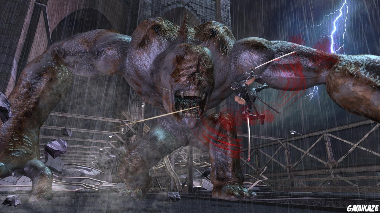 Ninja Gaiden II