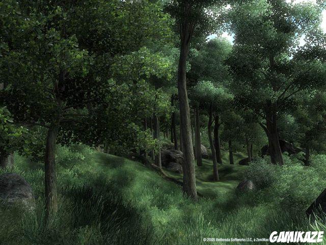 The Elder Scrolls IV : Oblivion