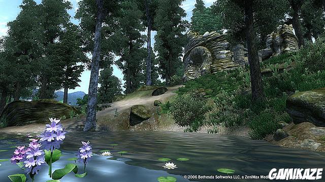 The Elder Scrolls IV : Oblivion