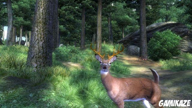 The Elder Scrolls IV : Oblivion