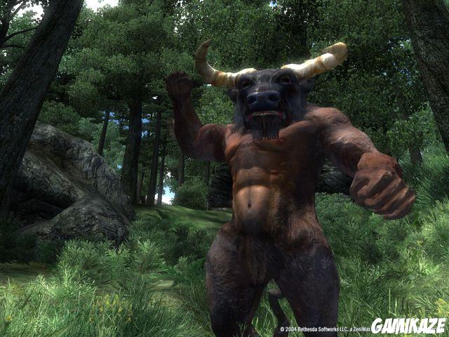 The Elder Scrolls IV : Oblivion