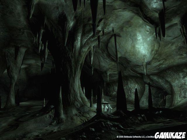 The Elder Scrolls IV : Oblivion