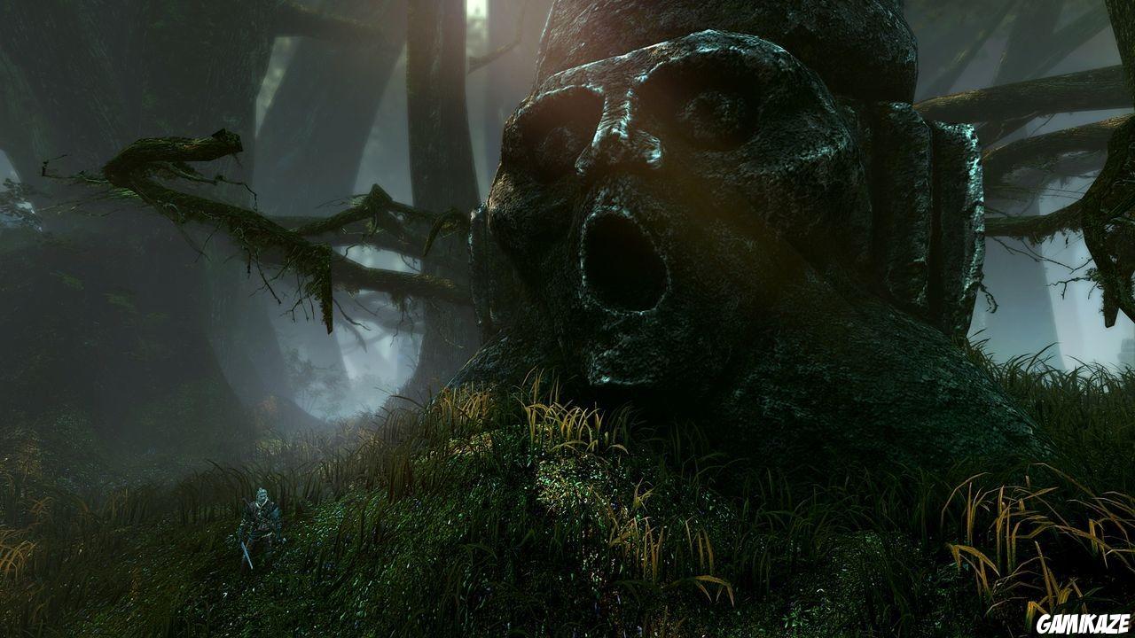 The Witcher 2 : Assassins of Kings