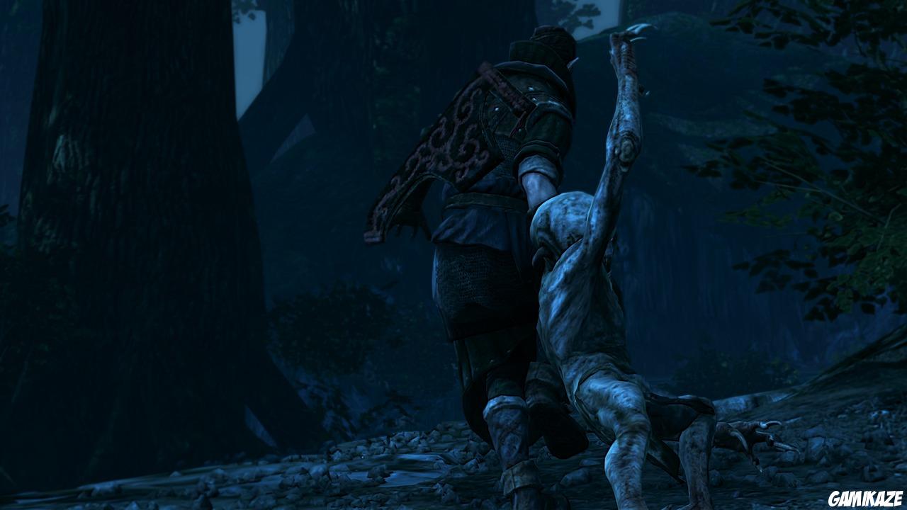 The Witcher 2 : Assassins of Kings