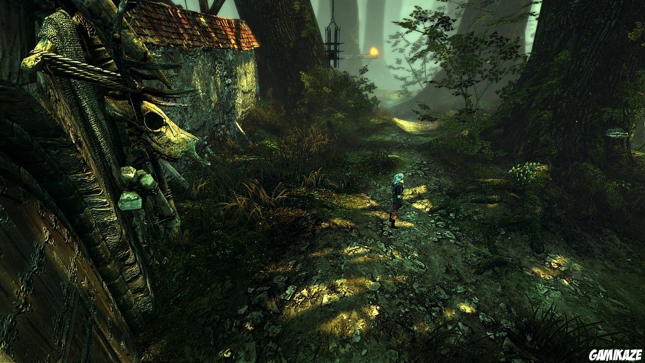 The Witcher 2 : Assassins of Kings