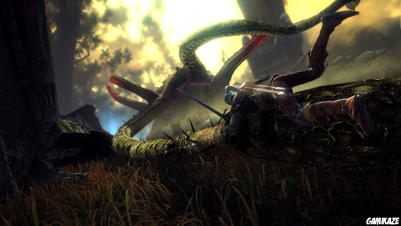 The Witcher 2 : Assassins of Kings