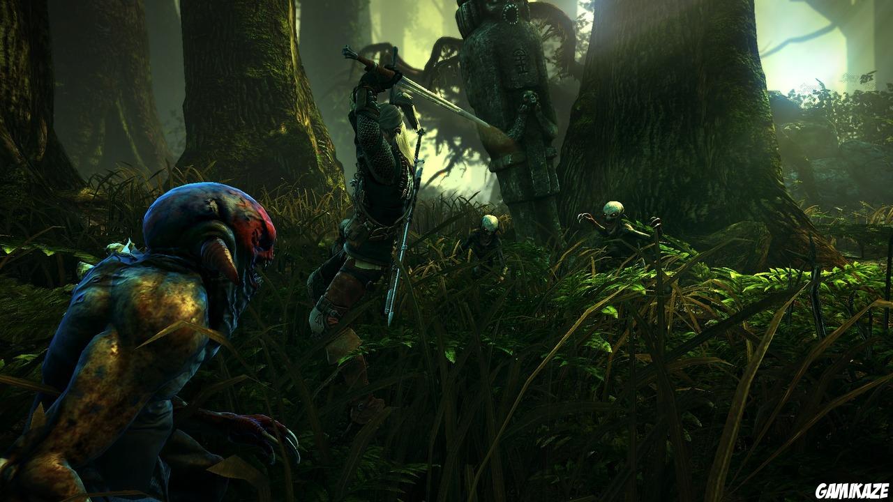 The Witcher 2 : Assassins of Kings