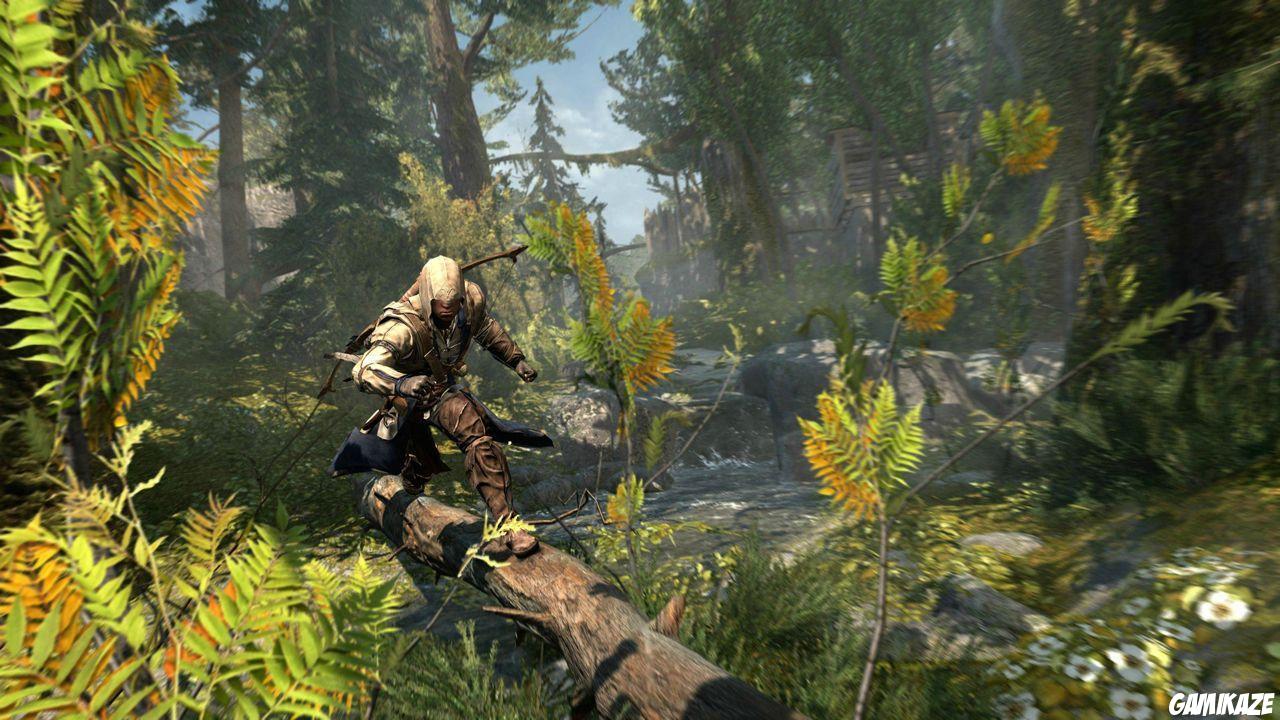 Assassin's Creed III