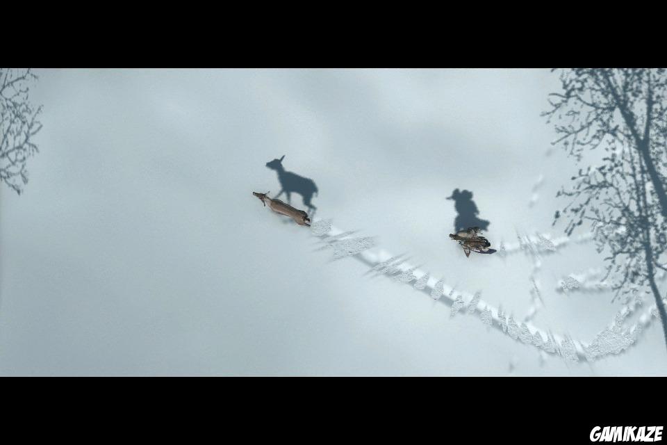 Assassin's Creed III