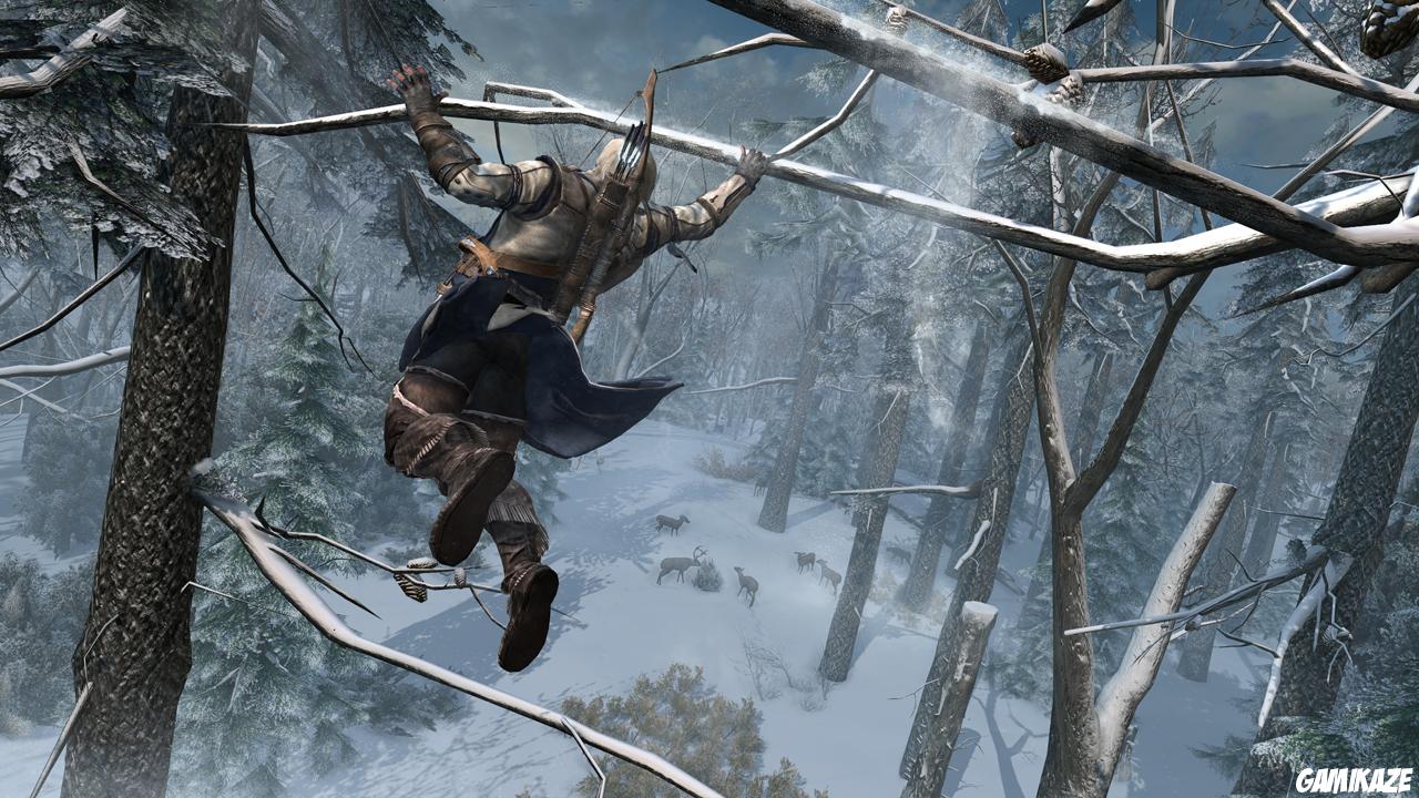 Assassin's Creed III