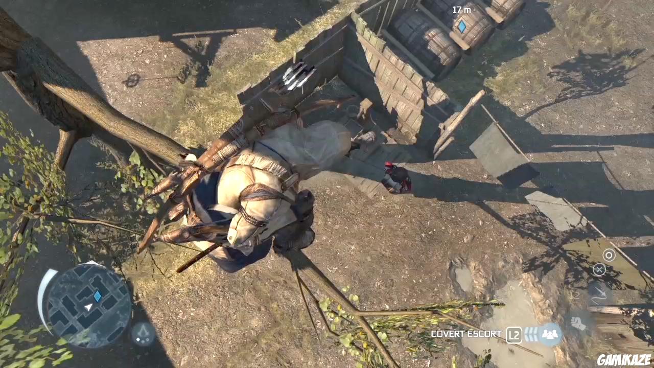 Assassin's Creed III