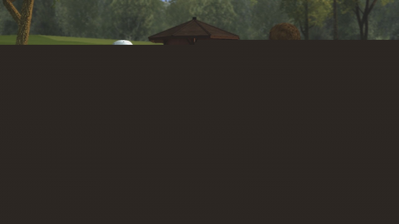 Tiger Woods PGA Tour 09
