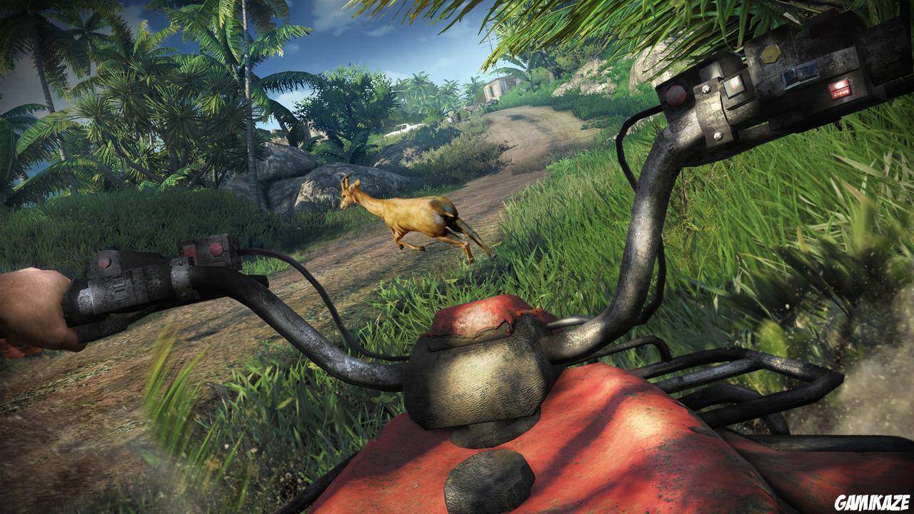 Far Cry 3