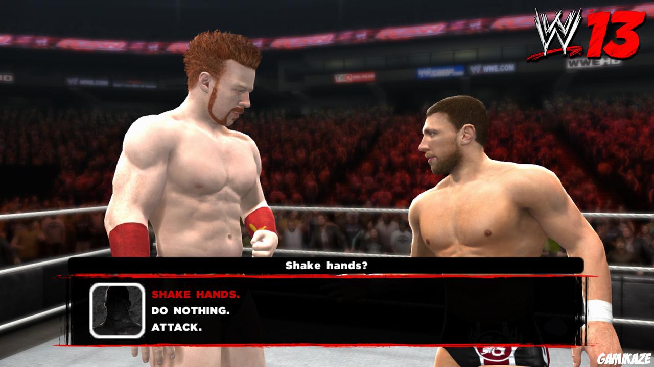 WWE 13