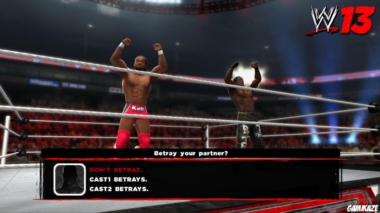 WWE 13