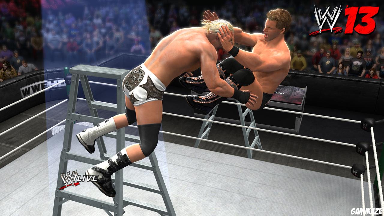 WWE 13