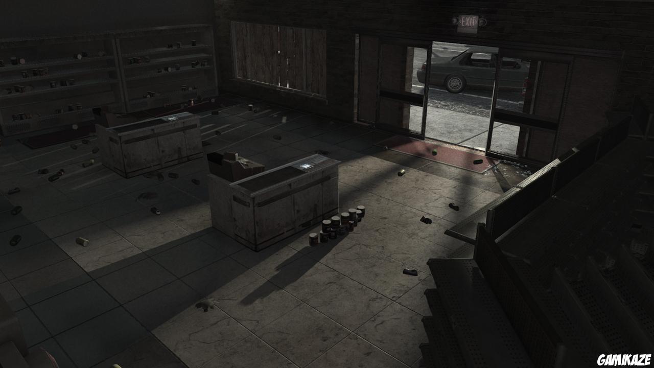 The Walking Dead : Survival Instinct