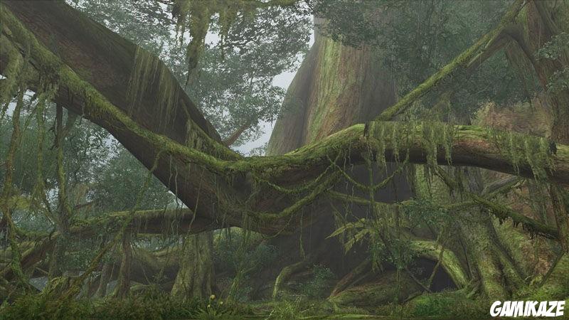 Monster Hunter Frontier Online