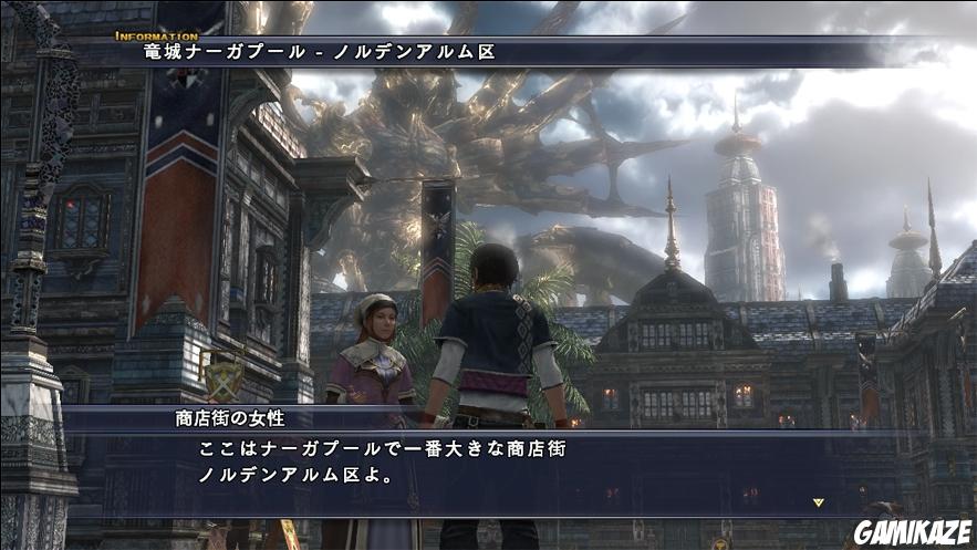 The Last Remnant