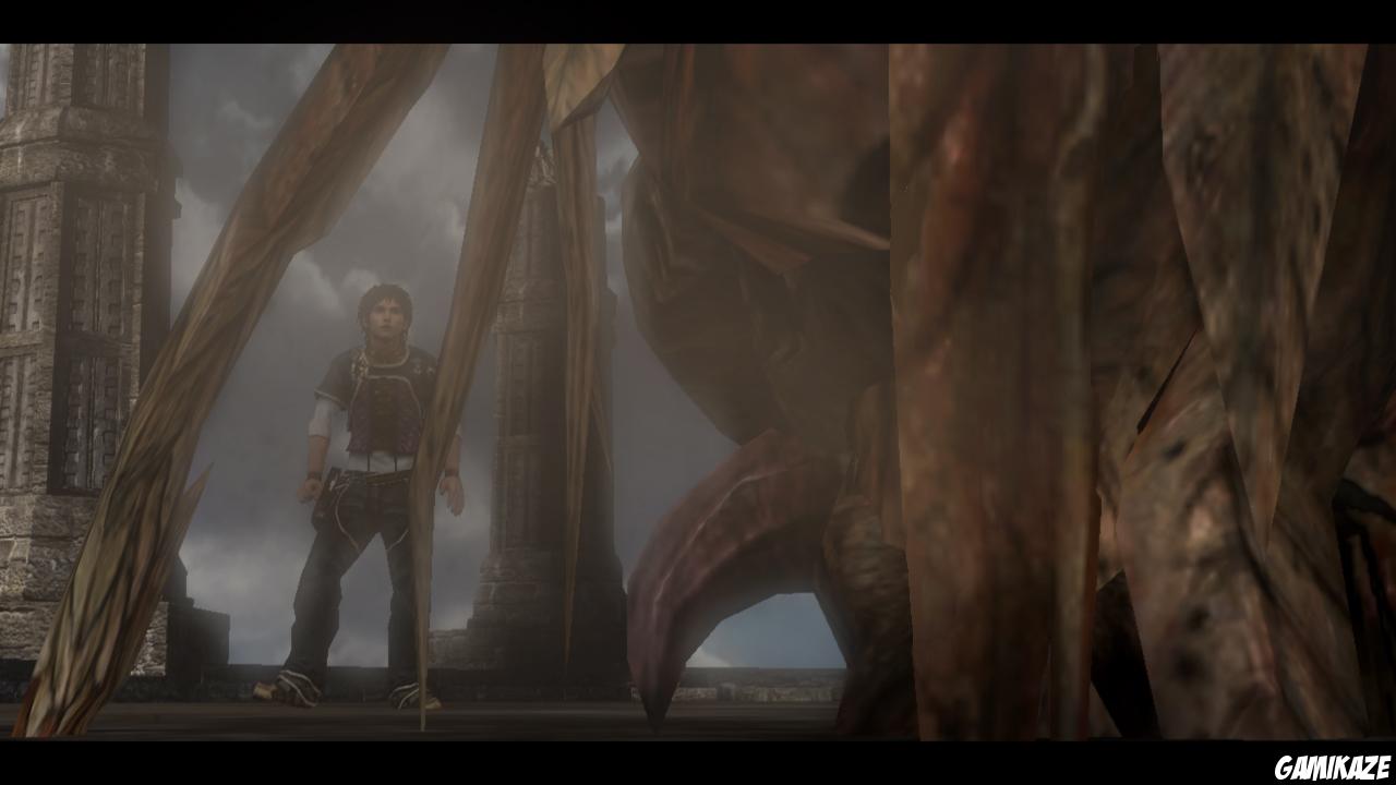 The Last Remnant