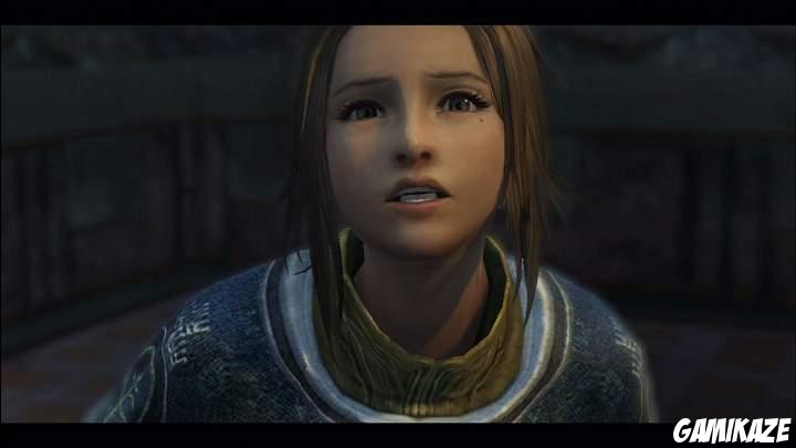 The Last Remnant