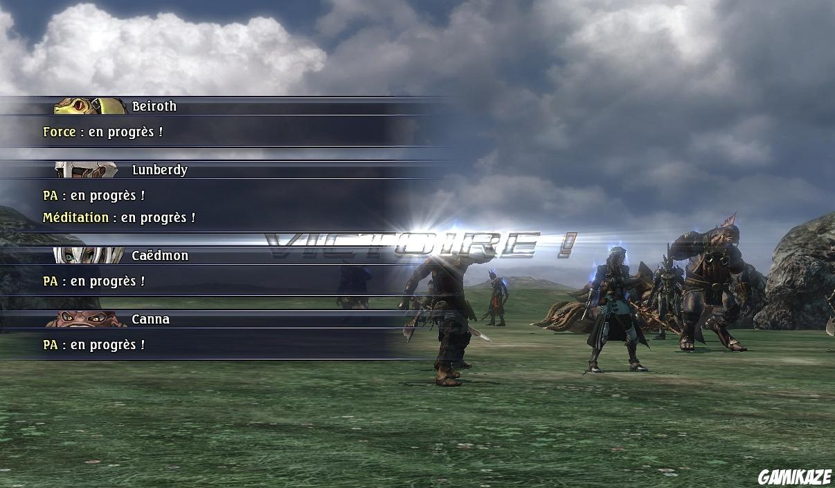 The Last Remnant