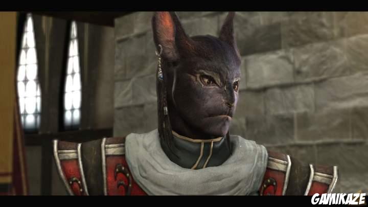 The Last Remnant