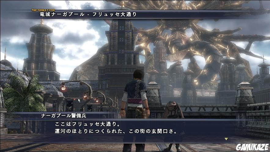 The Last Remnant