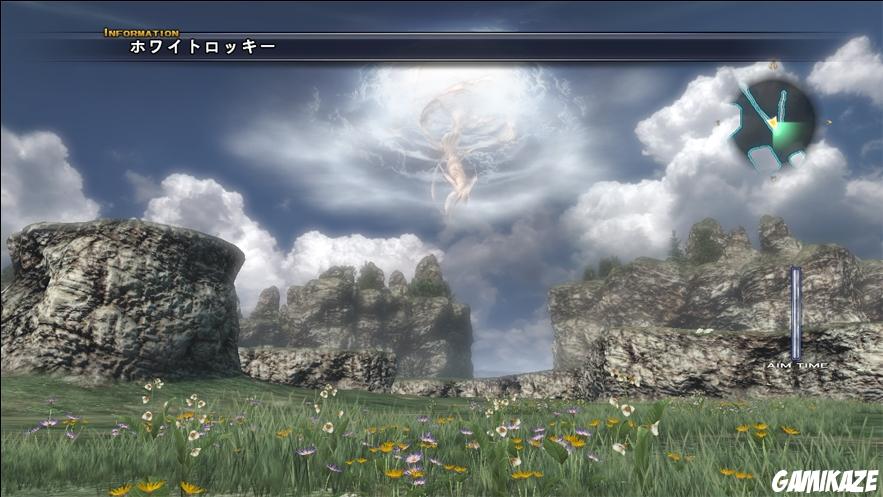 The Last Remnant
