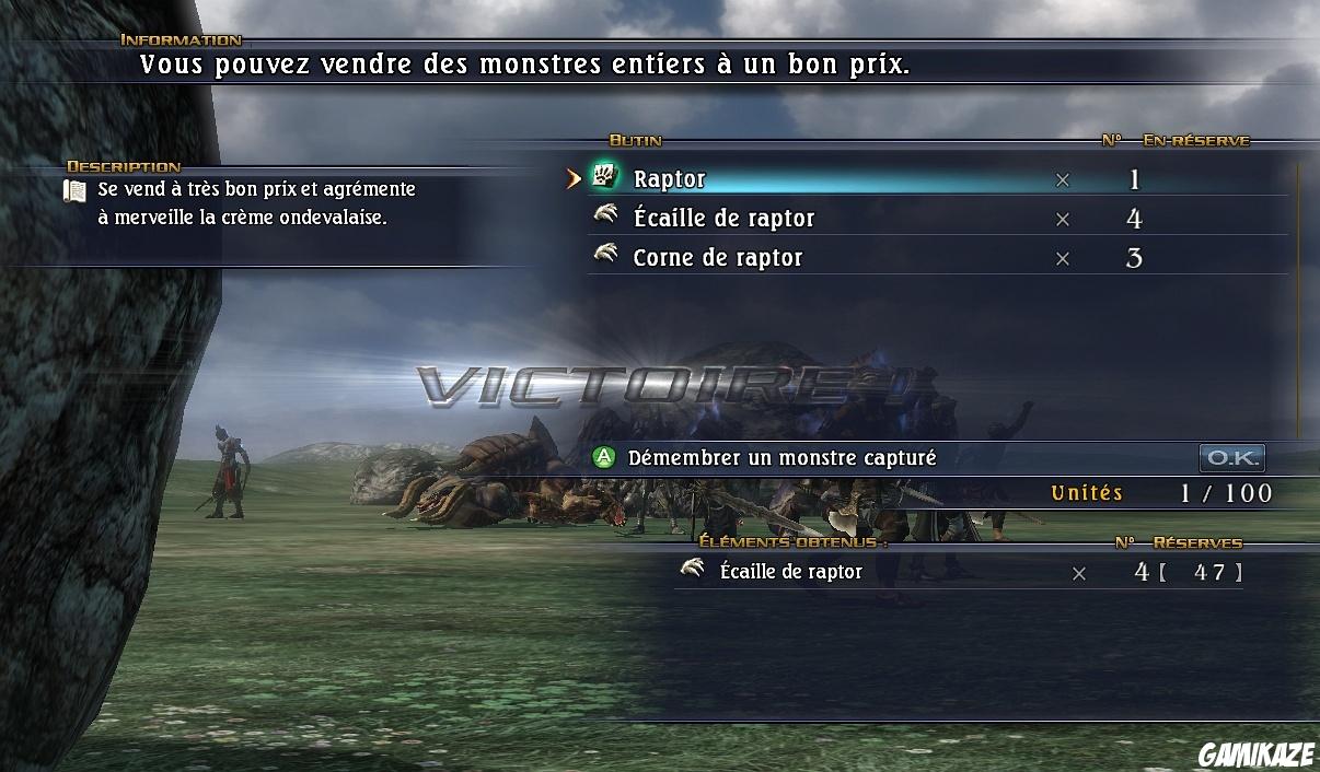 The Last Remnant