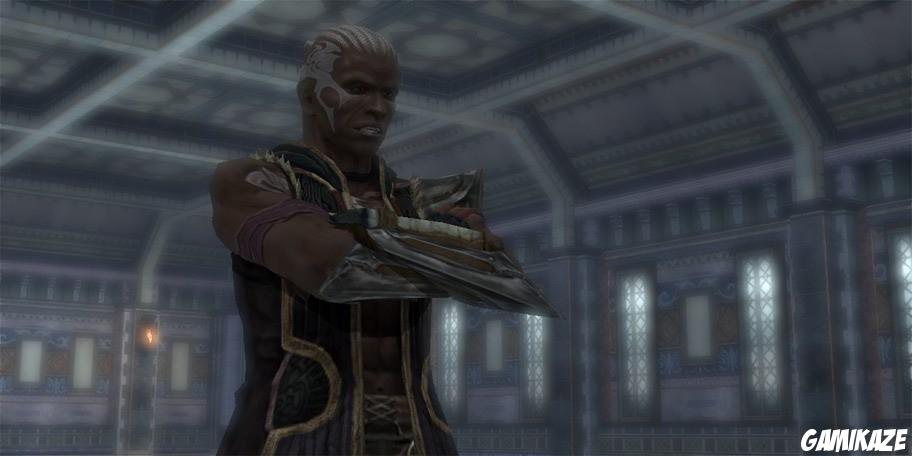 The Last Remnant
