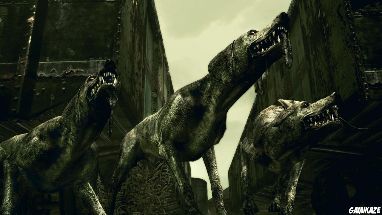 Resident Evil 5