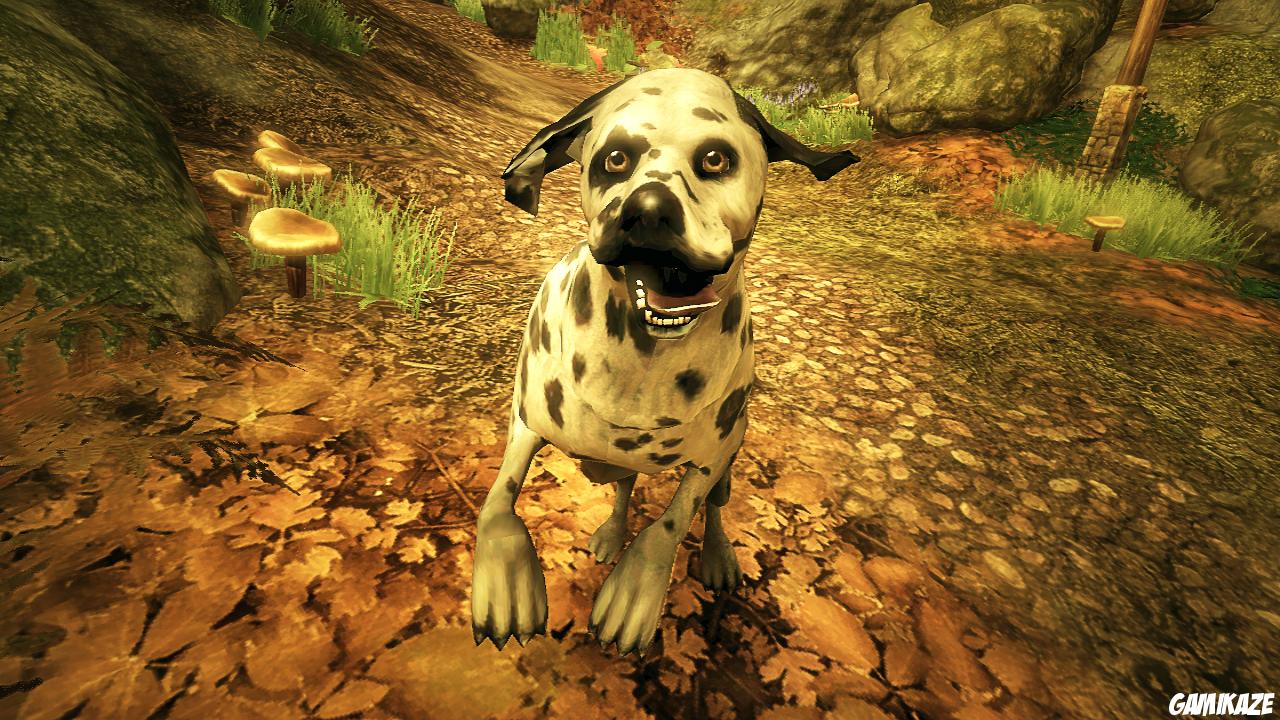 Fable II : l'Avenir Dévoilé