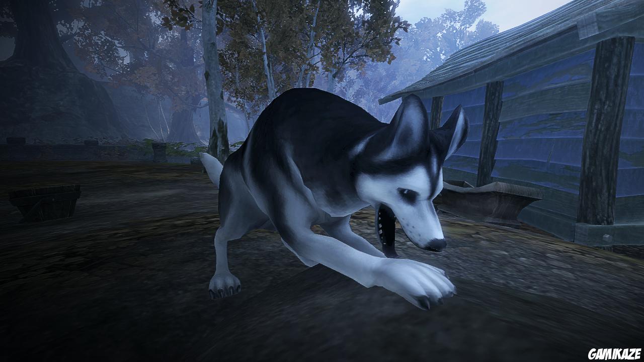 Fable II : l'Avenir Dévoilé