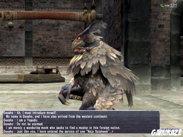 Final Fantasy XI Online
