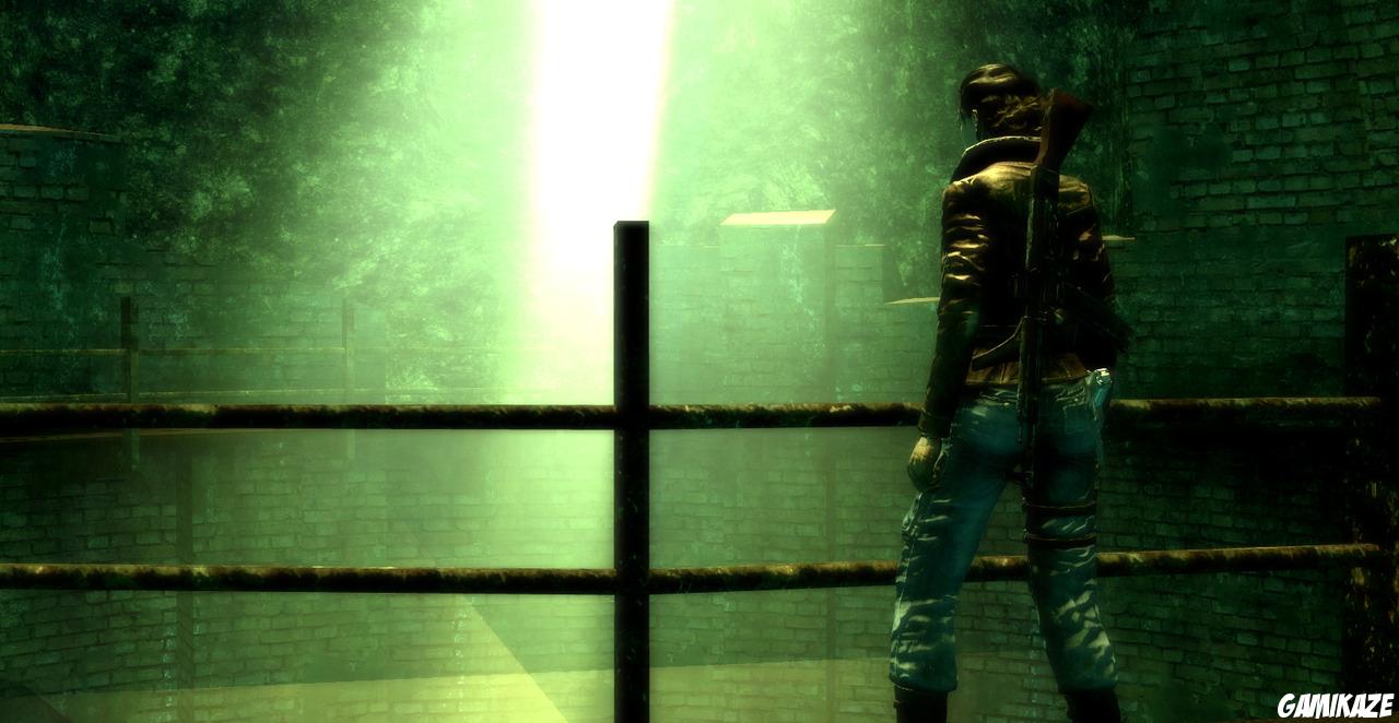 Velvet Assassin