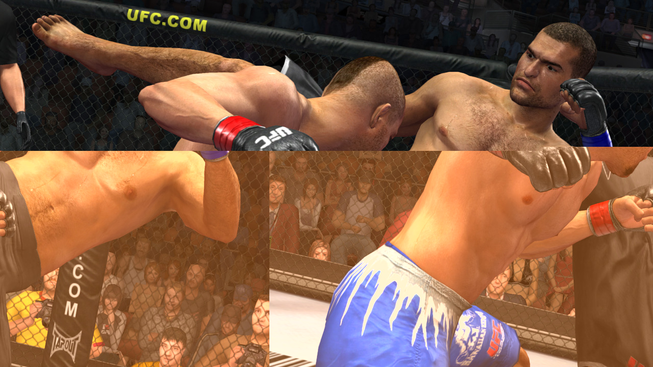 UFC 2009 Undisputed