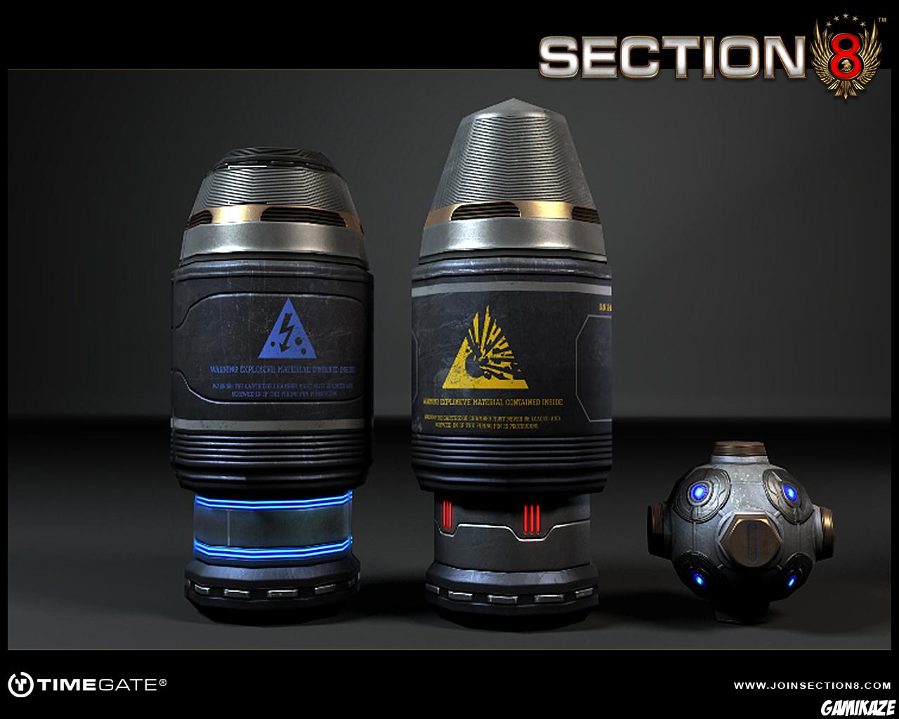 Section 8