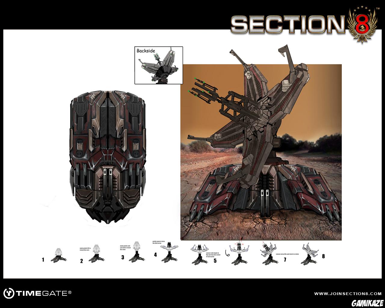 Section 8