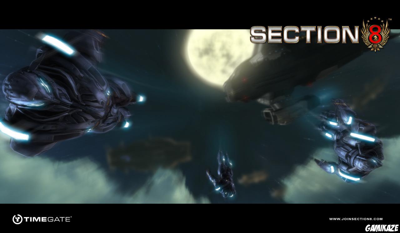 Section 8