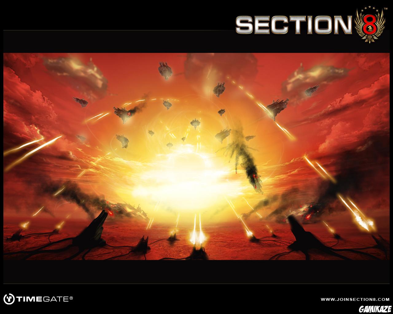 Section 8