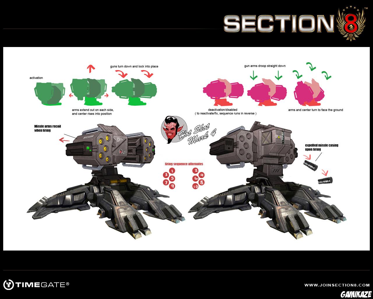 Section 8