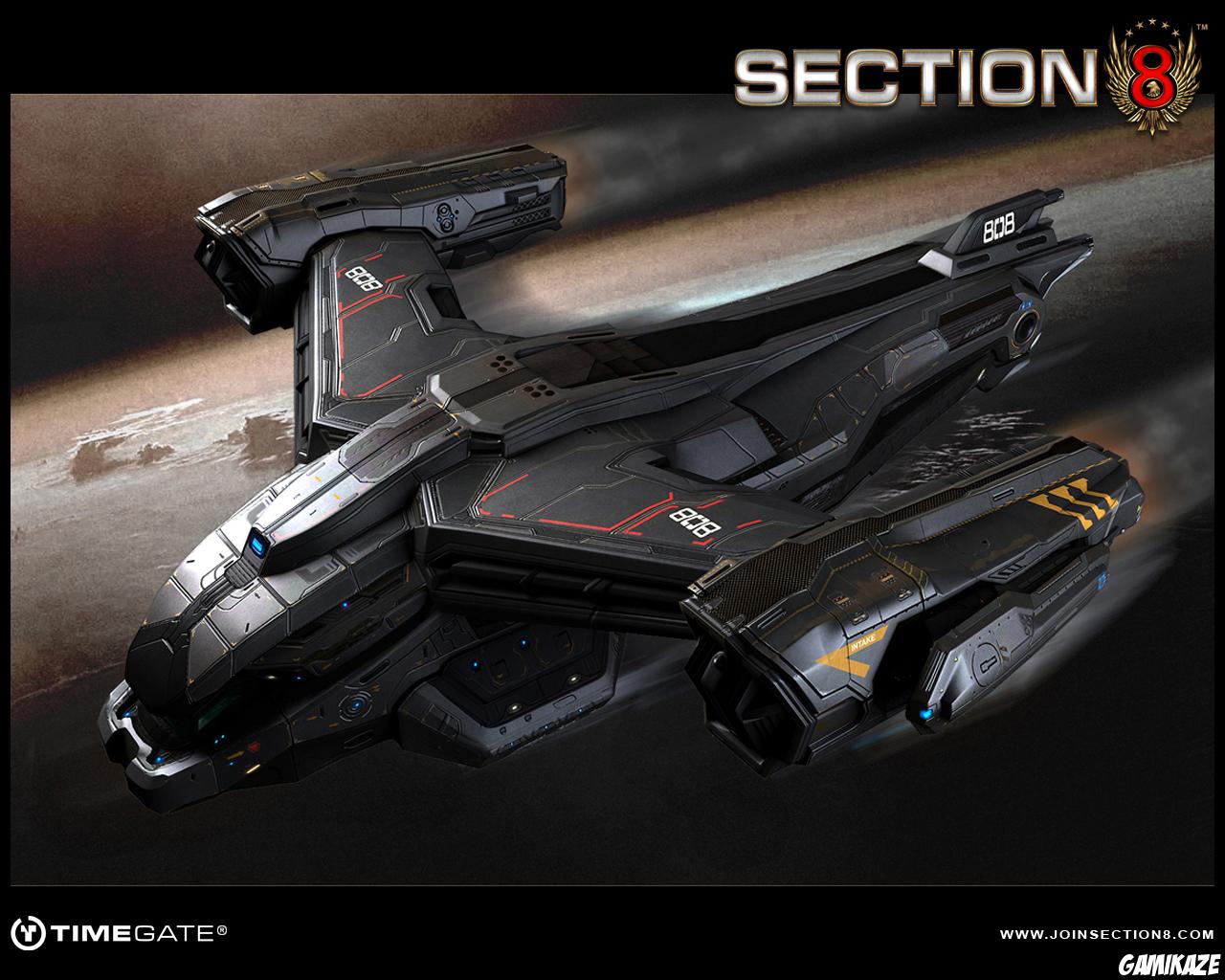 Section 8